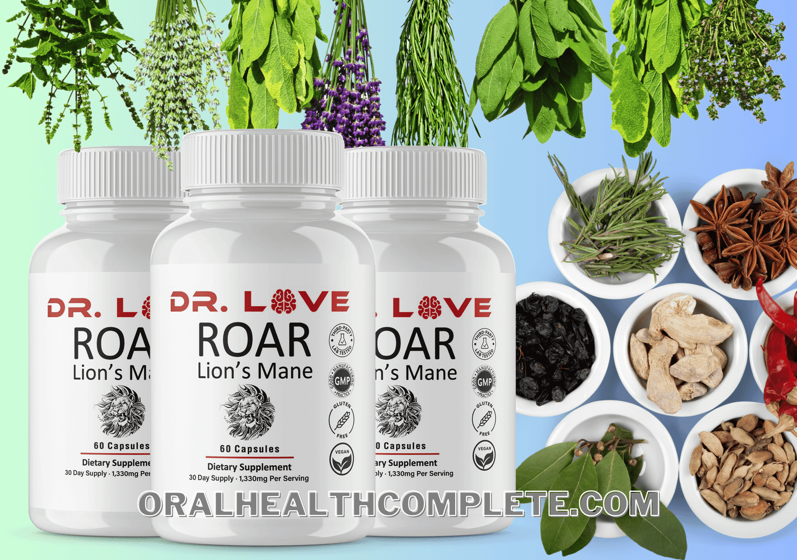 Roar Lion’s Mane ingredients