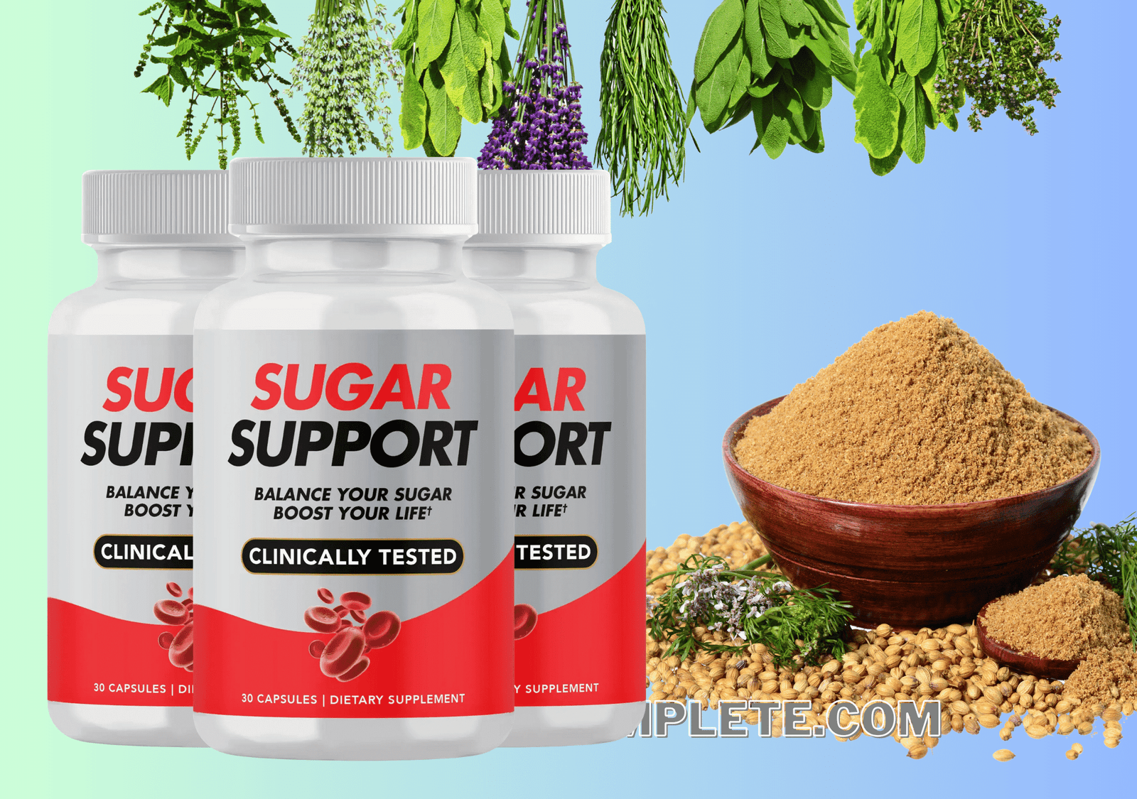 Sugar Support ingredients