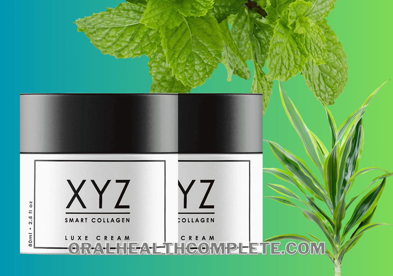 XYZ Smart Collagen ingredients
