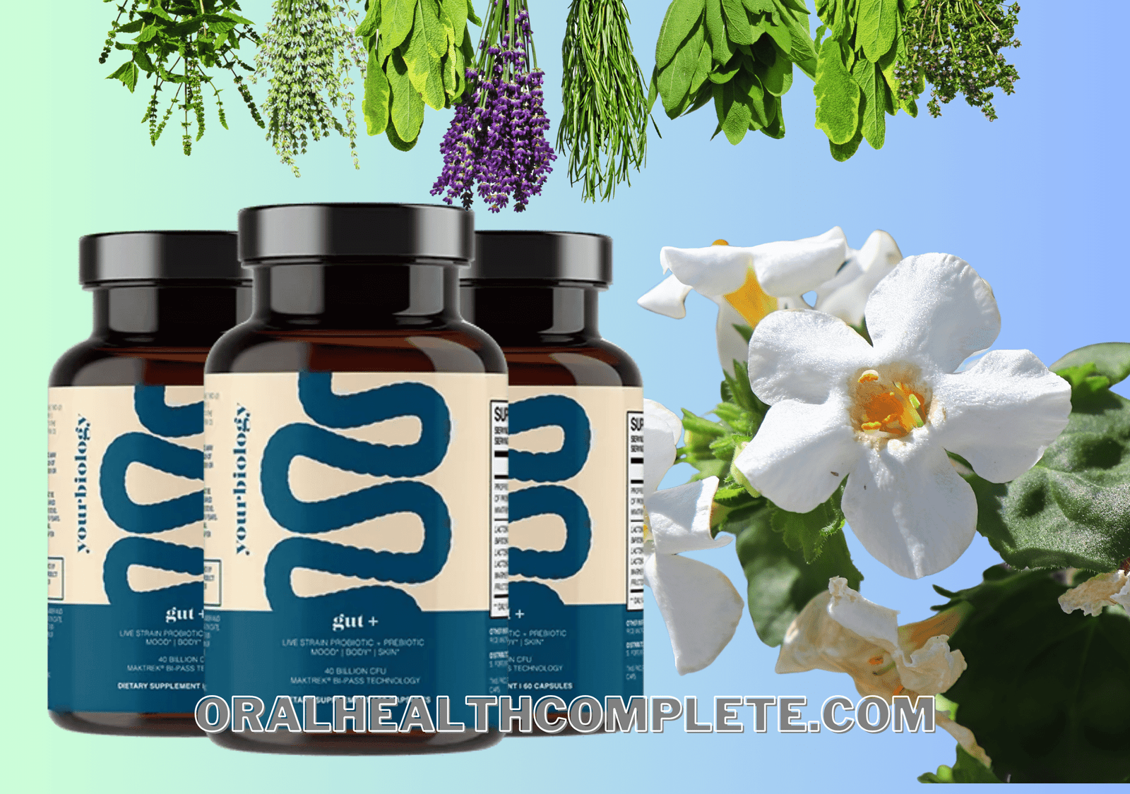 Yourbiology ingredients