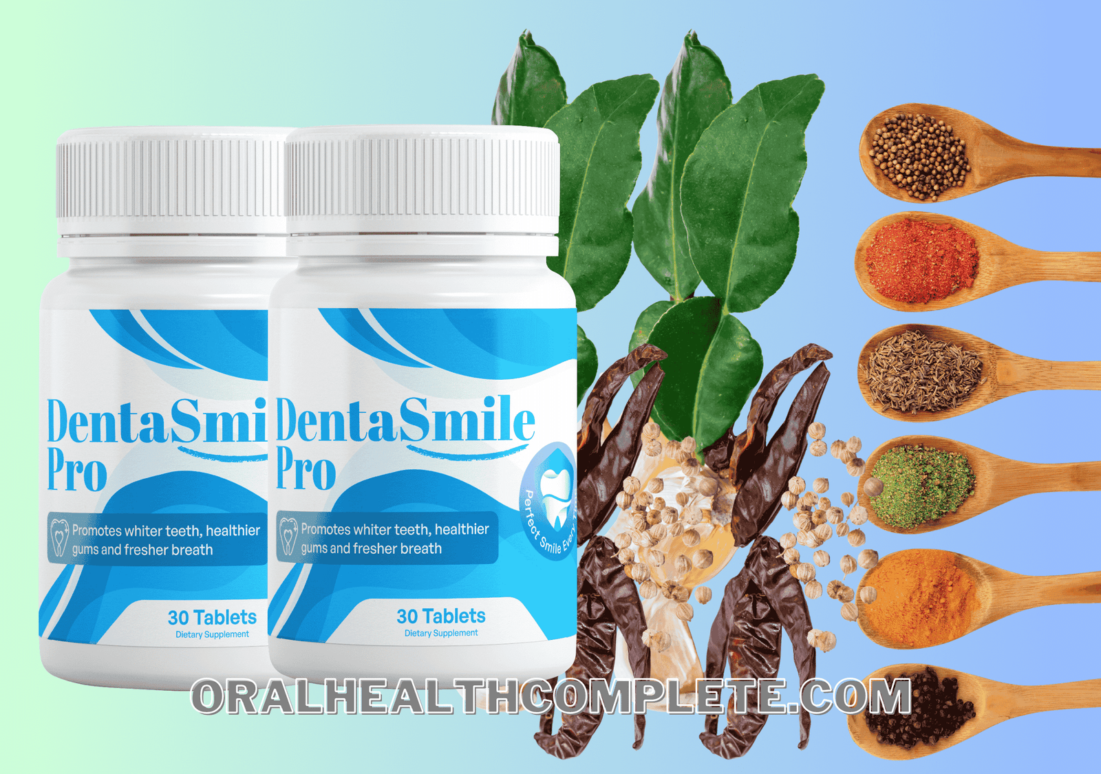 DentaSmile Pro