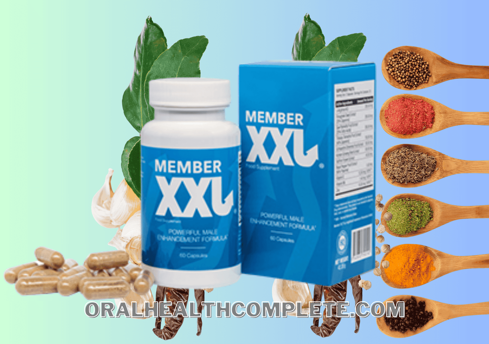 Member XXL