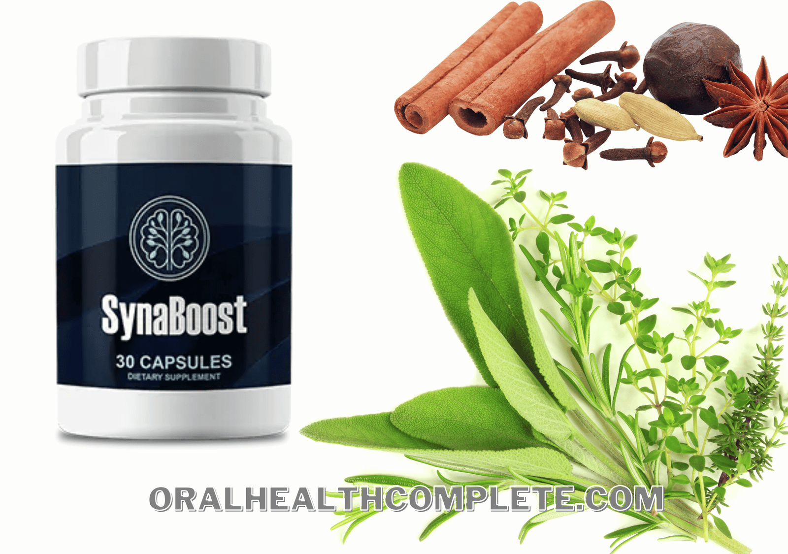 SynaBoost