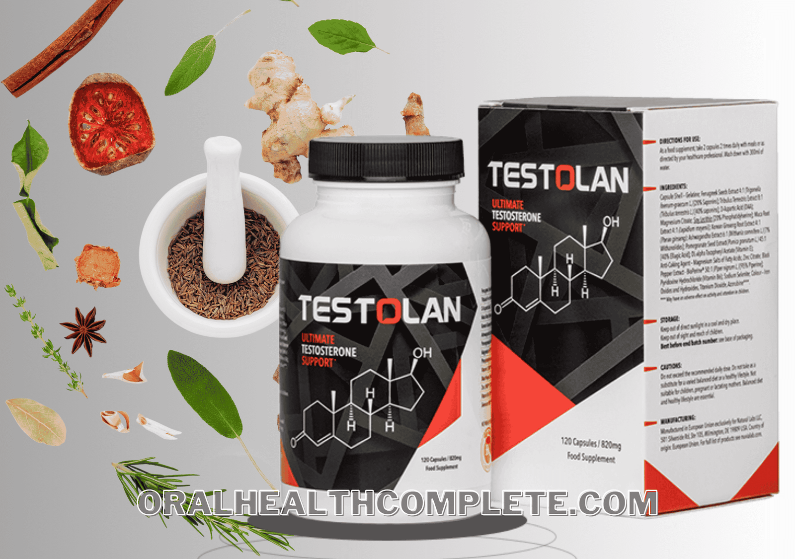 Testolan