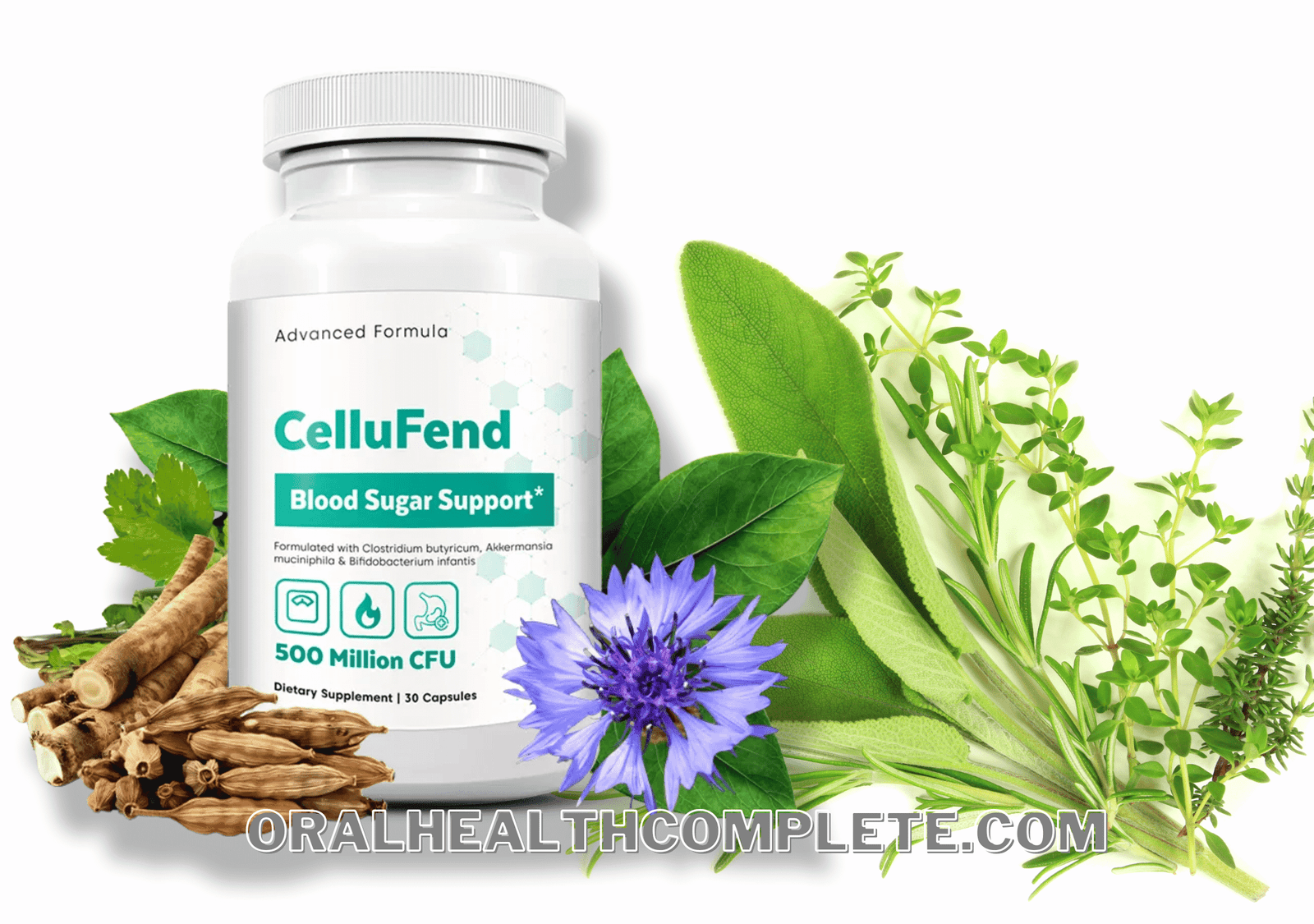 CelluFend