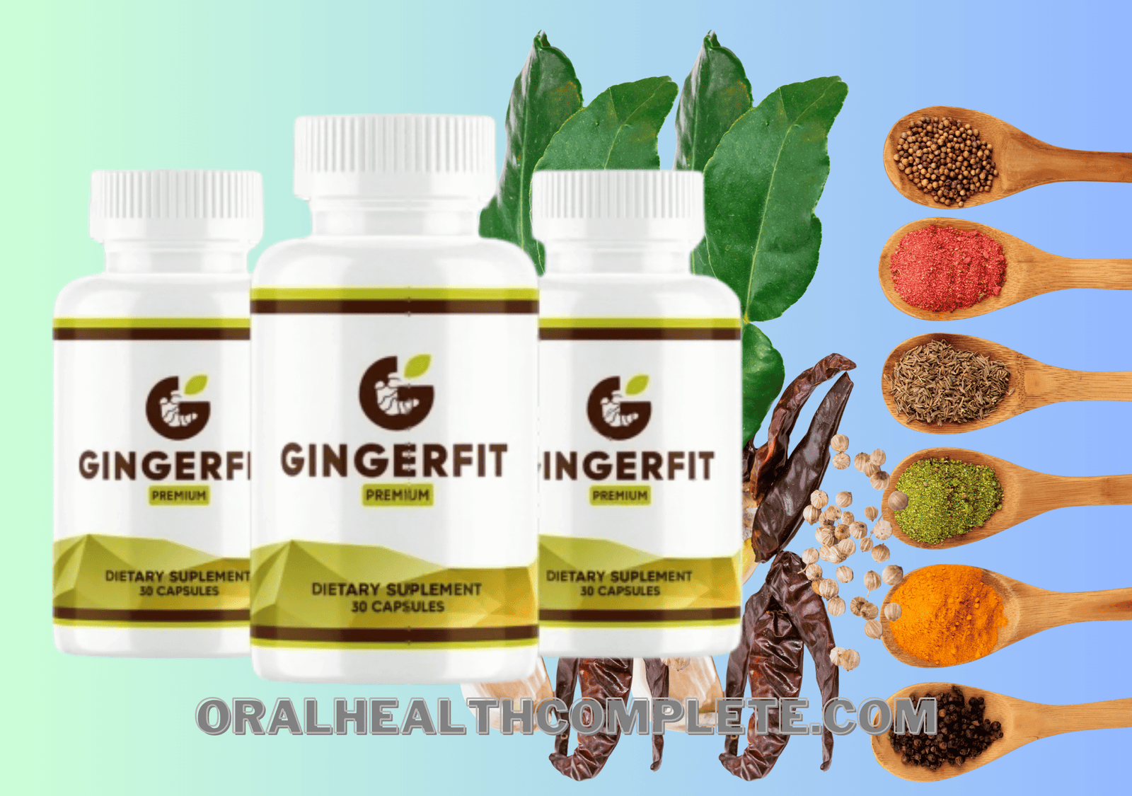 GingerFit dosage