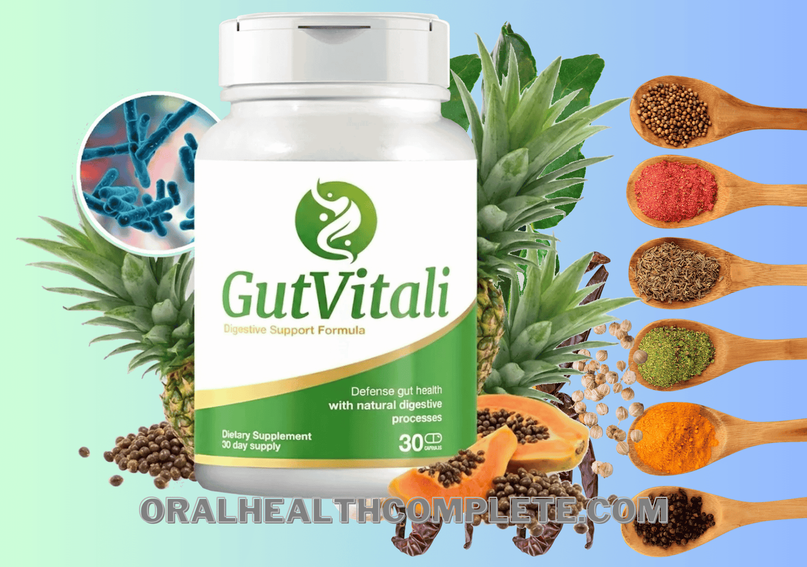 GutVitali Ingredients