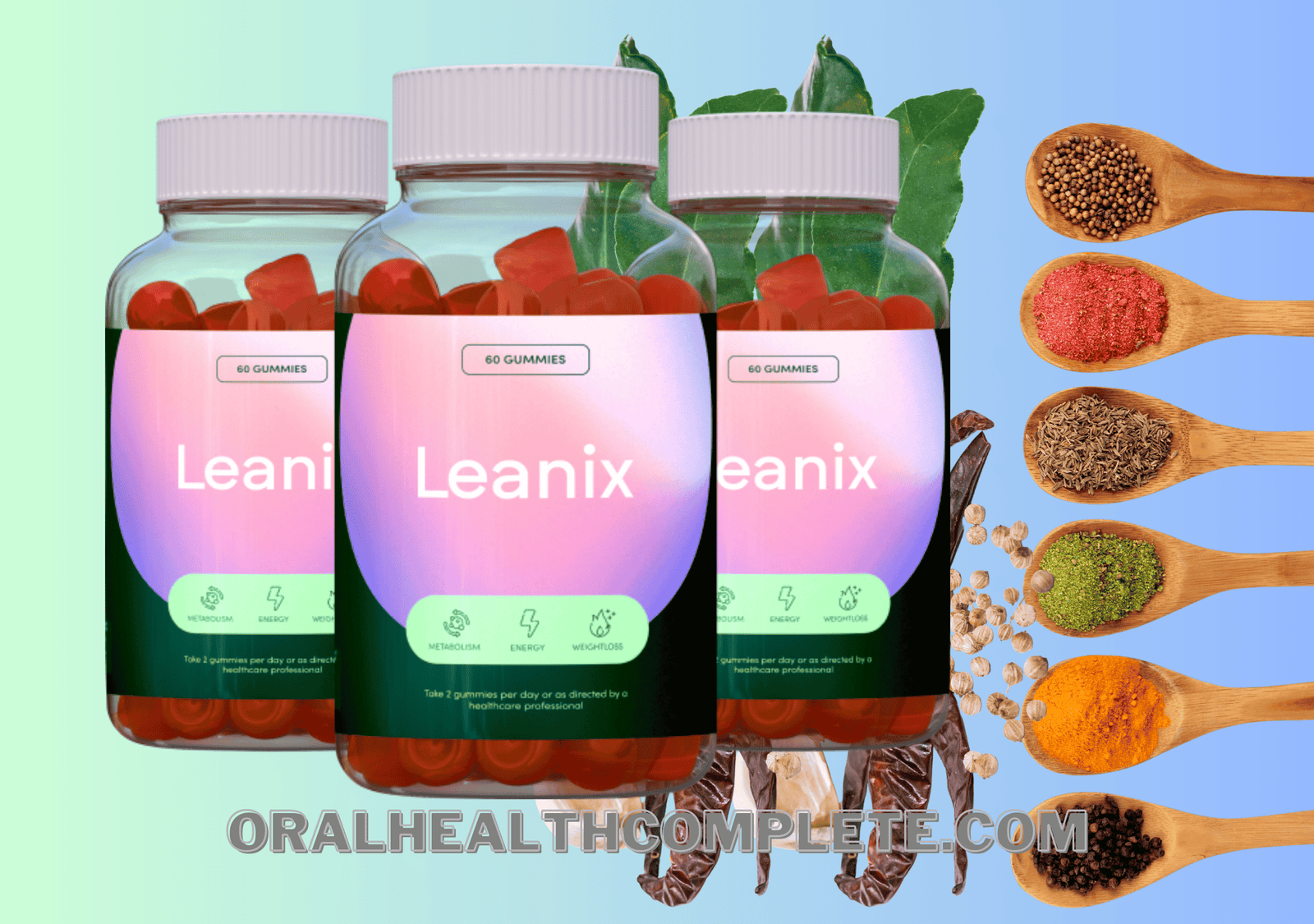 Leanix ingredients