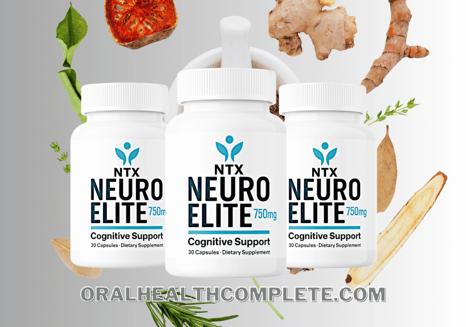 NTX NeuroElite ingredients