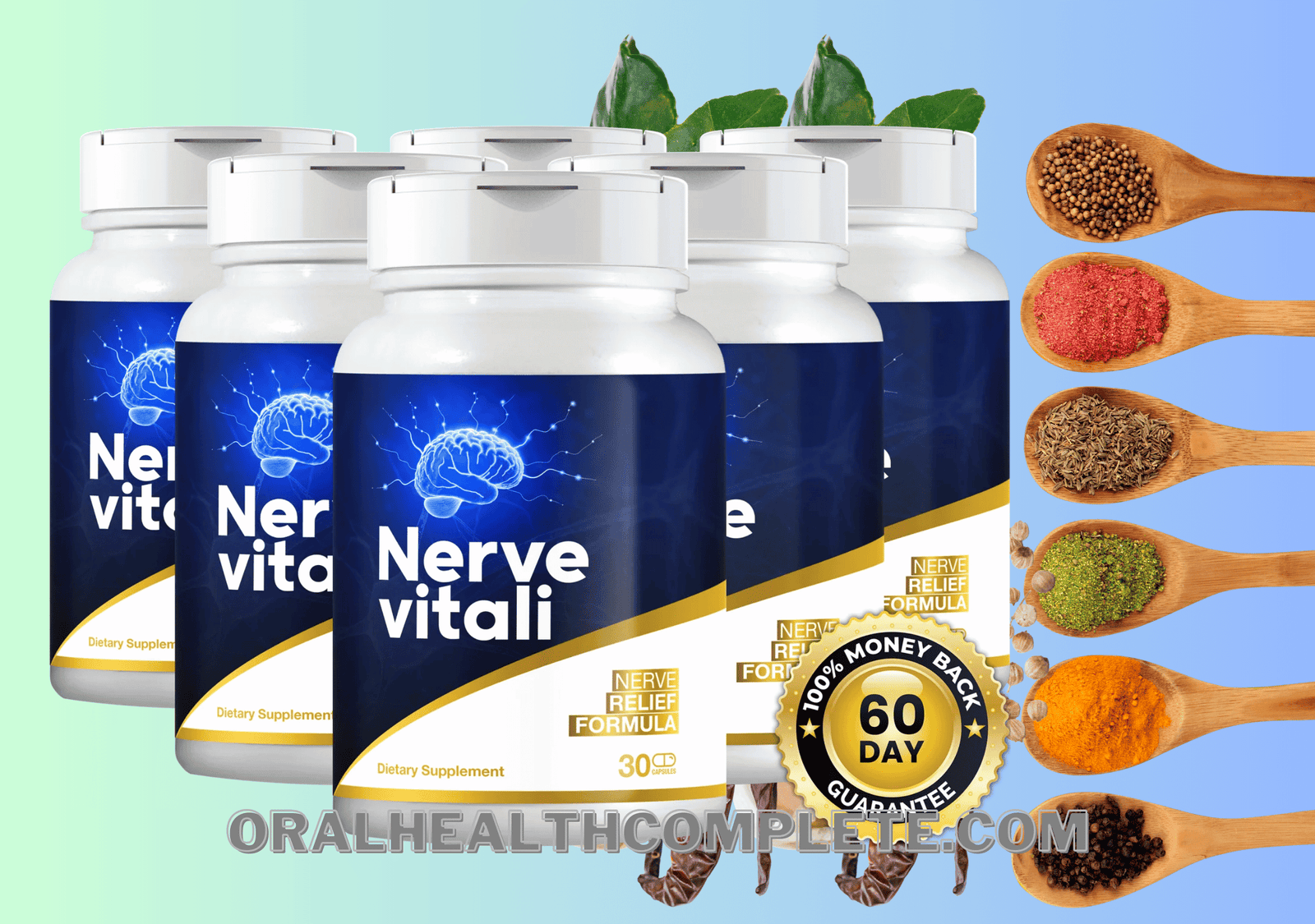 NerveVitali Ingredients