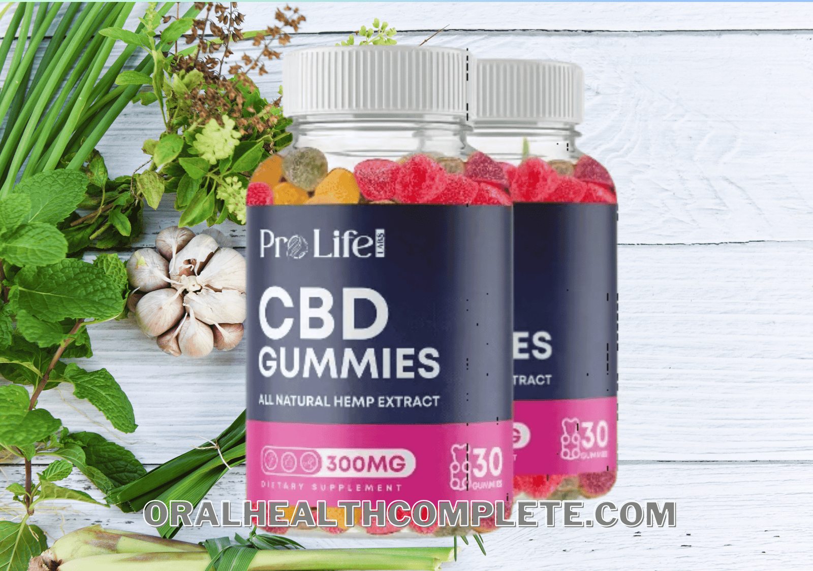 ProLife CBD Gummies Ingredients