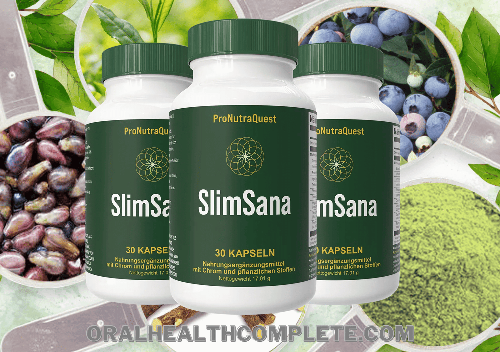 SlimSana ingredients