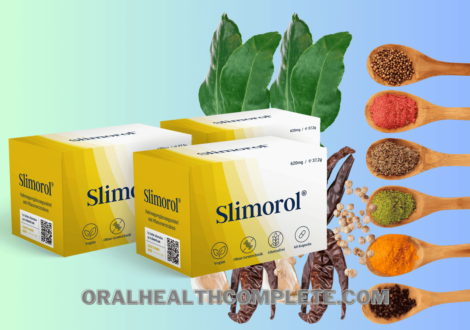Slimorol ingredients